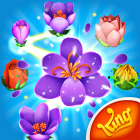 Blossom Blast Saga Logo