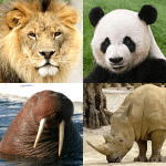 Animals Quiz Learn All Mammals Logo