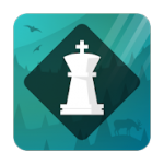 Magnus Trainer Logo