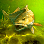My Fishing World Logo
